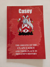 Casey Irish mini clan book