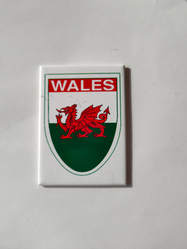 Wales flag on a magnet-Celtic product