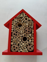 Red Insect Hotel