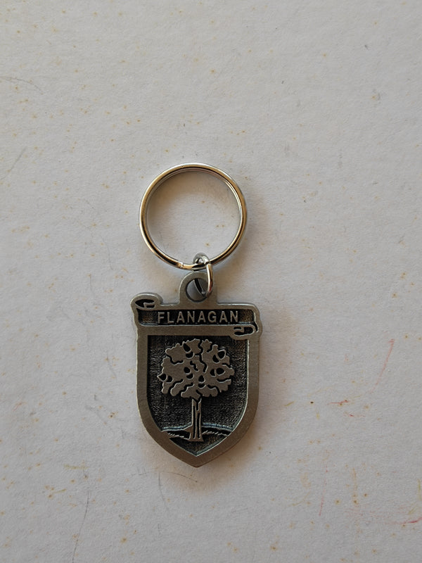 Flanagan Irish Key chain