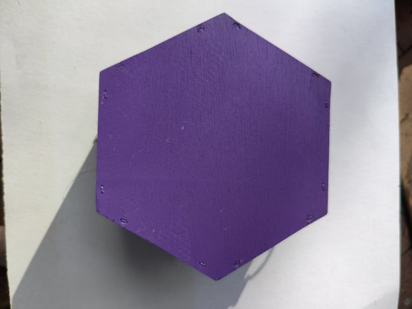 Purple Solitary Bee Home