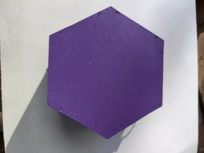 Purple Solitary Bee Home