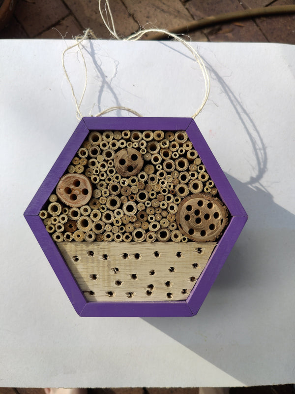 Purple Solitary Bee Home