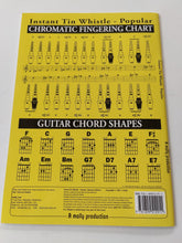 Instant tin whistle popular-yellow book